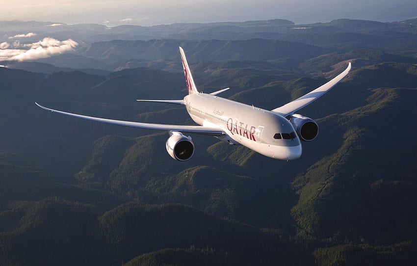 Blanco, El avión, Tierra, Alas, 787, Boeing, Aviación, En el aire, Vuela, Avión de pasajeros, Qatar Airways para , sección Ð°Ð²Ð¸Ð°ÑÐ¸Ñ - , Logotipo de Qatar Airways fondo de pantalla